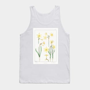 Jonquil (1896) Tank Top